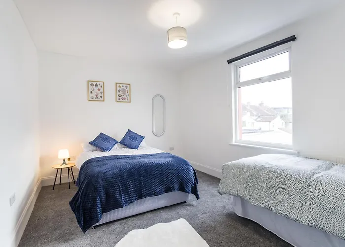 Daire November Disc - Long - Contractors Bristol