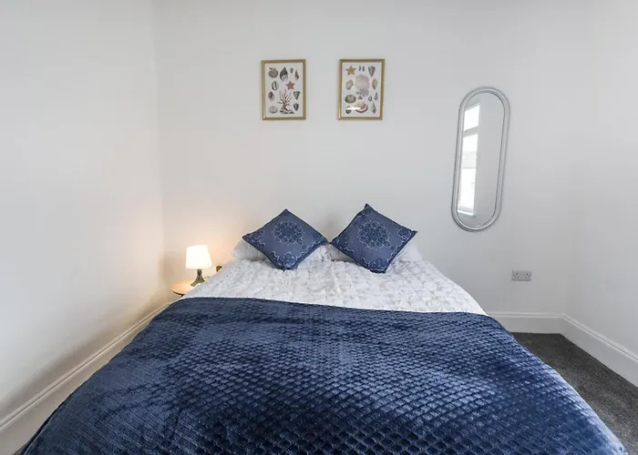 November Disc - Long - Contractors