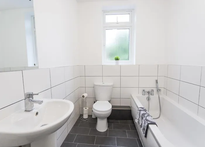 November Disc - Long - Contractors Apartament *