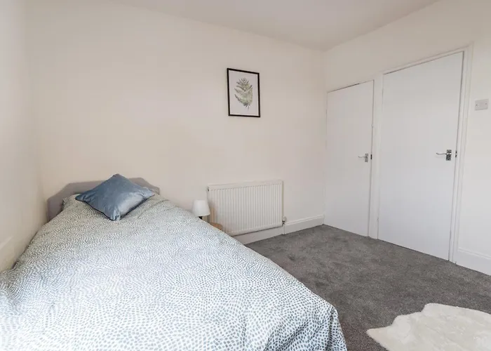 Apartament November Disc - Long - Contractors