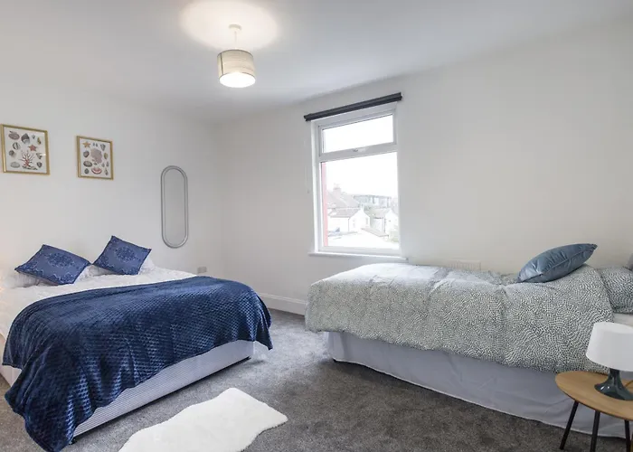 November Disc - Long - Contractors