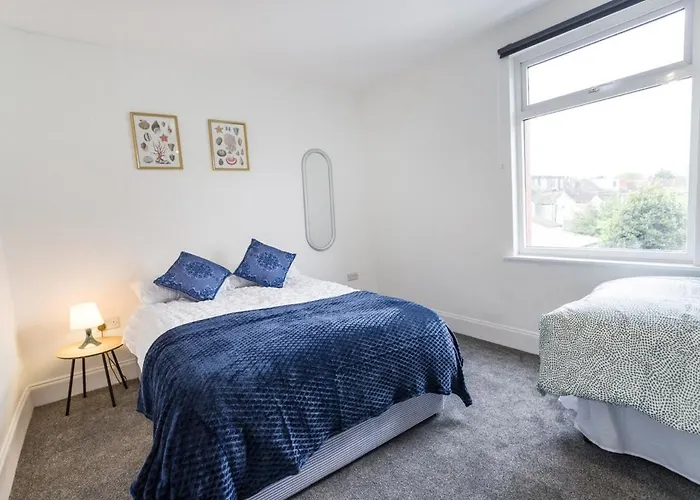 Apartament November Disc - Long - Contractors *